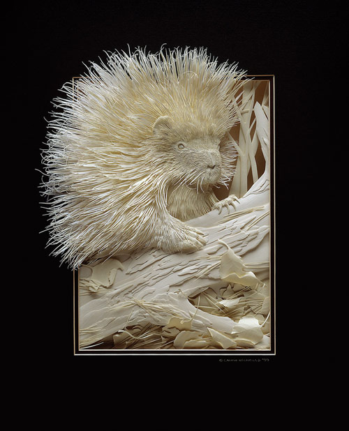 Cut paper art by Calvin Nicholls