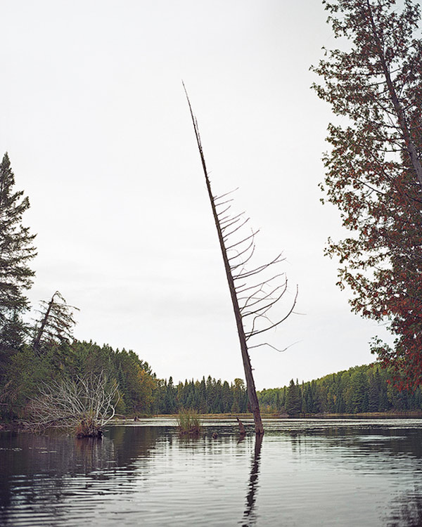 Benjamin Freedman BOOOOOOOM! CREATE * INSPIRE * COMMUNITY * ART