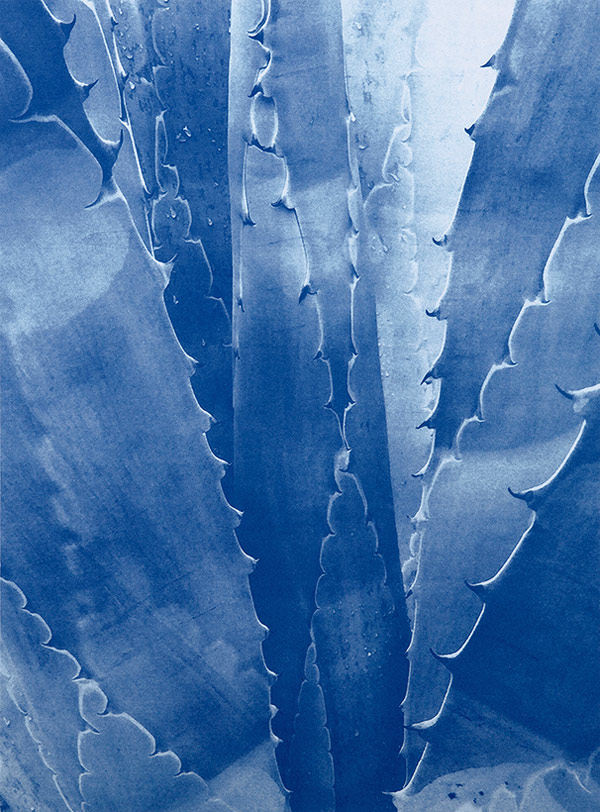 Blues” by Photographer Tim Barber – BOOOOOOOM! – CREATE