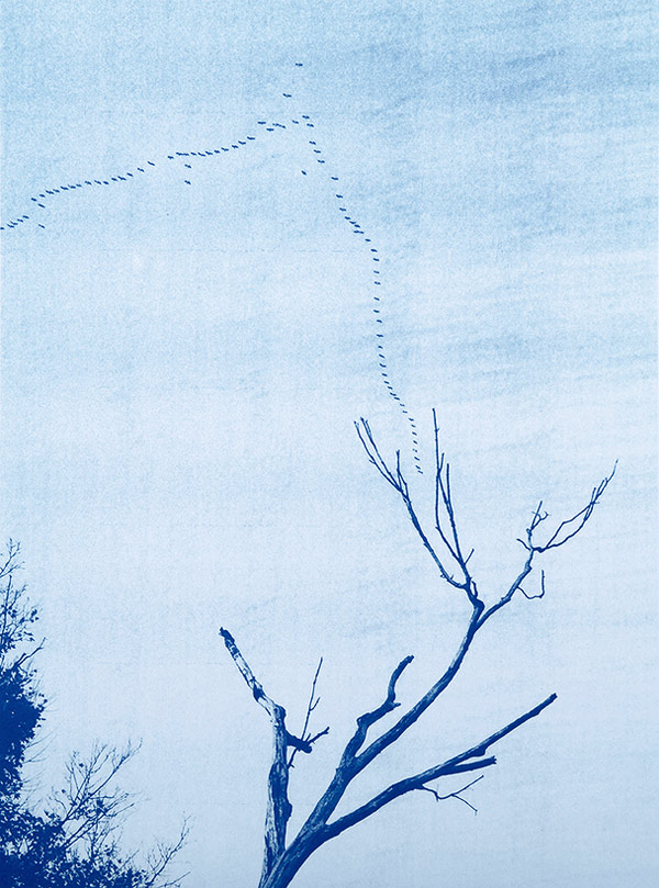 【希少本】Blues / Tim Barber Blues” by Photographer Tim Barber – BOOOOOOOM! – CREATE