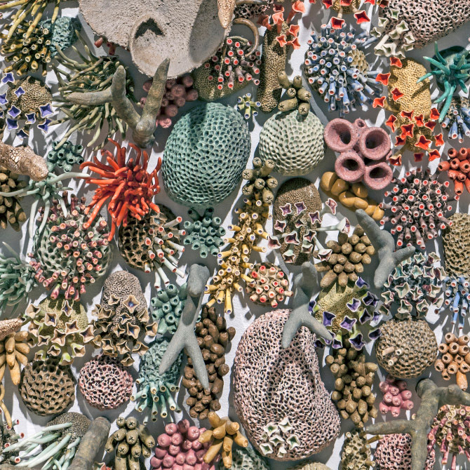 Hand-Sculpted Coral Reef Installation by Artist and Activist Courtney ...