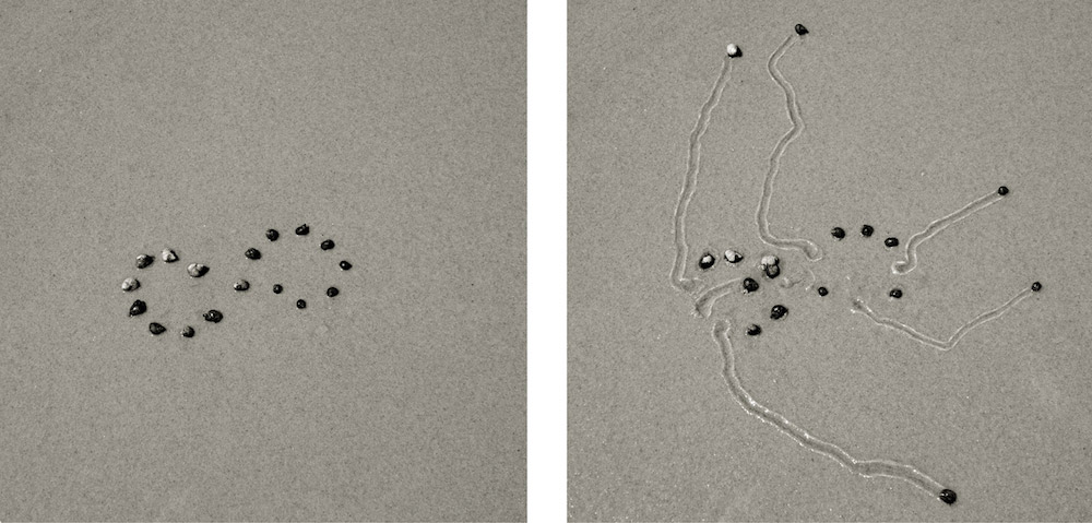 Dan Ranalli Photographer Daniel Ranalli Spends Two Decades Capturing Snail Trails ...