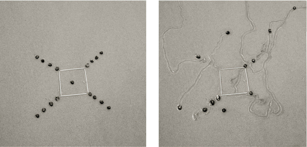 Dan Ranalli Photographer Daniel Ranalli Spends Two Decades Capturing Snail Trails ...