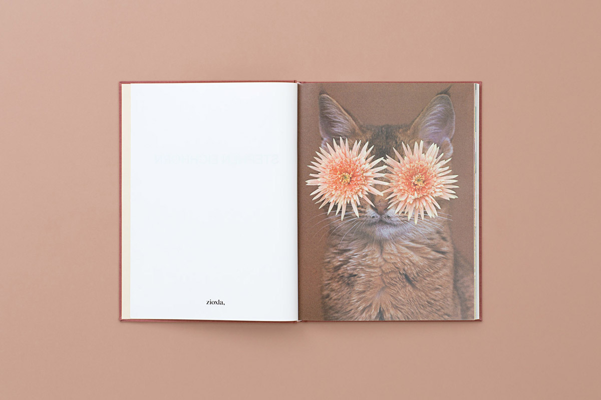 Cats & Plants” by Artist Stephen Eichhorn – BOOOOOOOM