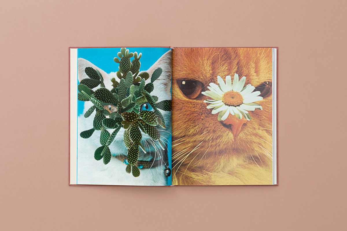 Cats & Plants” by Artist Stephen Eichhorn – BOOOOOOOM