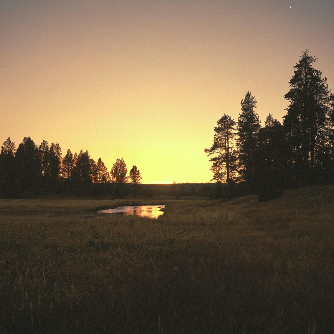 Whispering Winds Booooooom Create Inspire Community Art