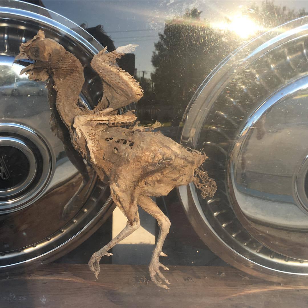 Evolution in Lucas, Kansas 2017 BOOOOOOOM! CREATE * INSPIRE