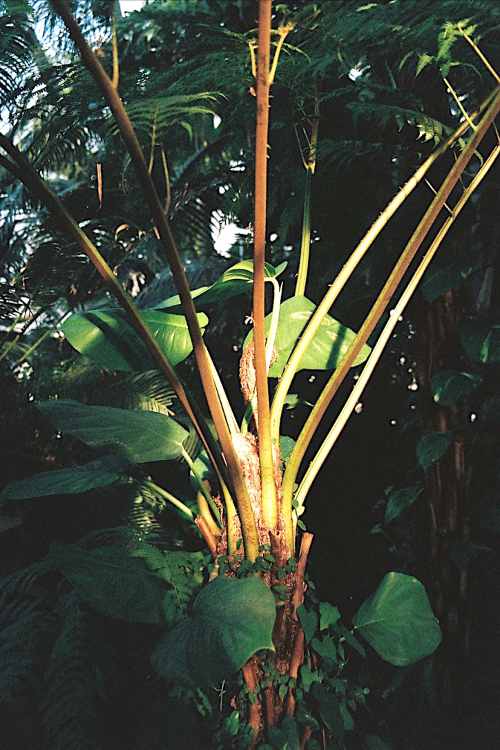 the core BOOOOOOOM! CREATE * INSPIRE * COMMUNITY * ART * DESIGN