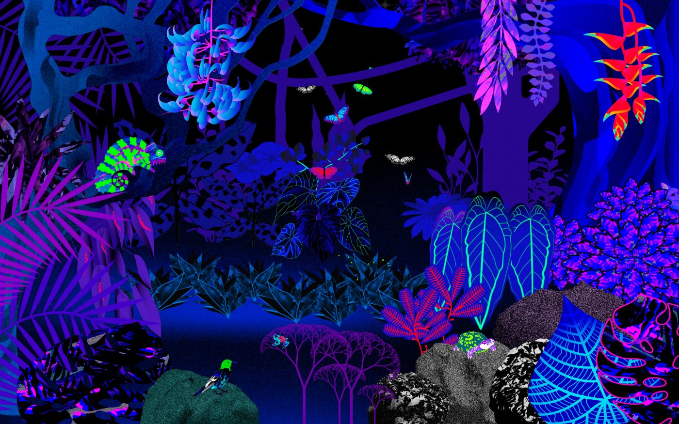 Step Inside the Digital Forest BOOOOOOOM! CREATE * INSPIRE