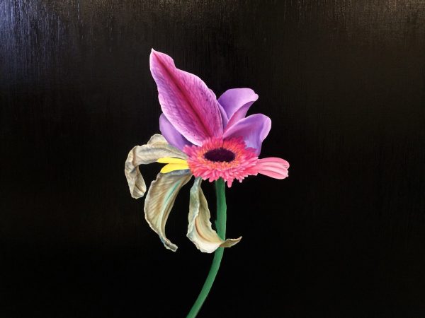 Photo-Realistic Paintings of Imaginary Flowers by Brandy Kraft