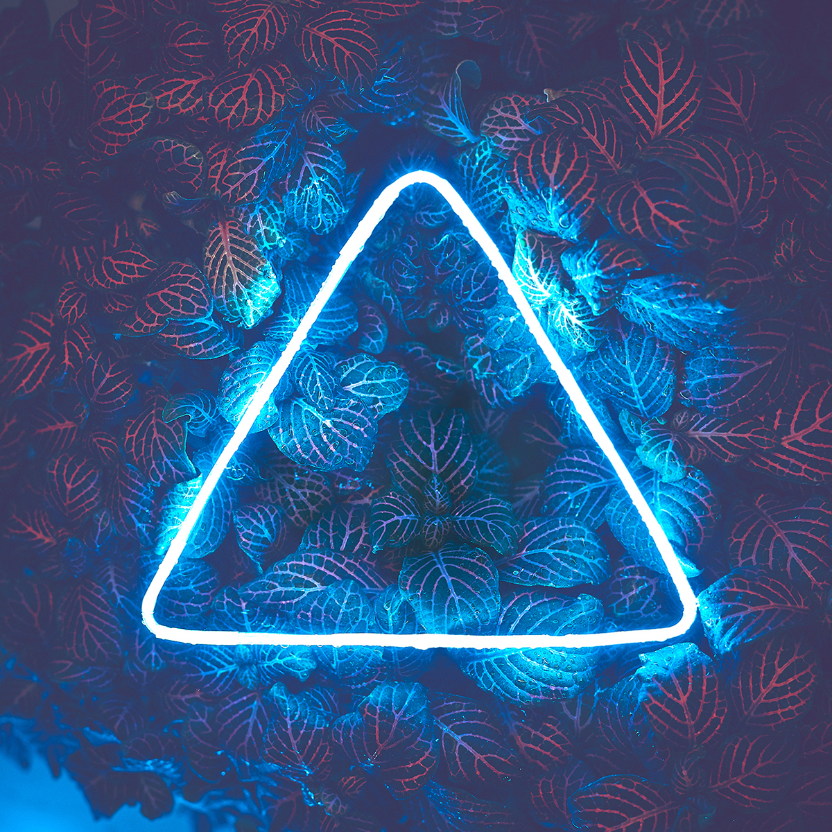 Secret Science Booooooom Create Inspire Community Art