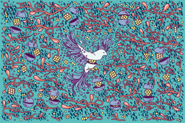 Illustrator Spotlight: Evan M. Cohen – BOOOOOOOM! – CREATE * INSPIRE ...