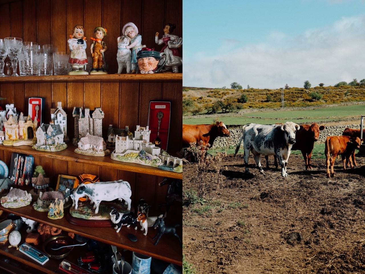 Hollow Meadows Farm BOOOOOOOM! CREATE * INSPIRE * COMMUNITY * ART