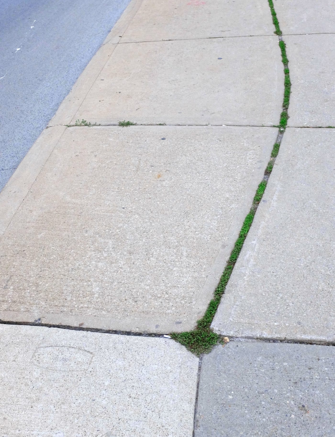 Green Scenes – BOOOOOOOM! – CREATE * INSPIRE * COMMUNITY * ART * DESIGN ...
