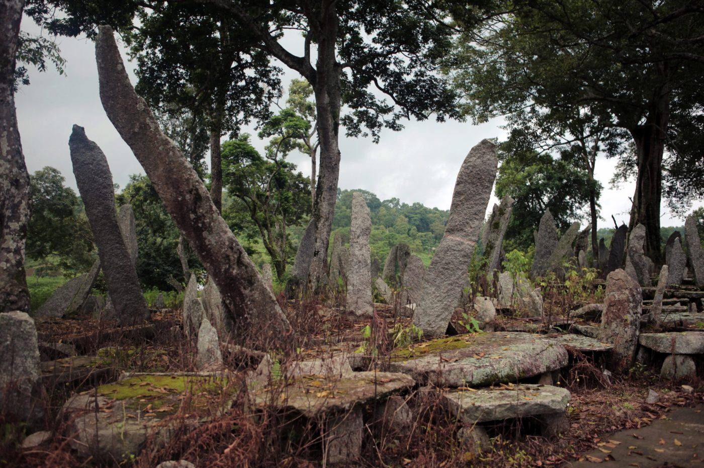 Meghalaya; From Root Bridges to Nartiang, India’s Stonehenge ...