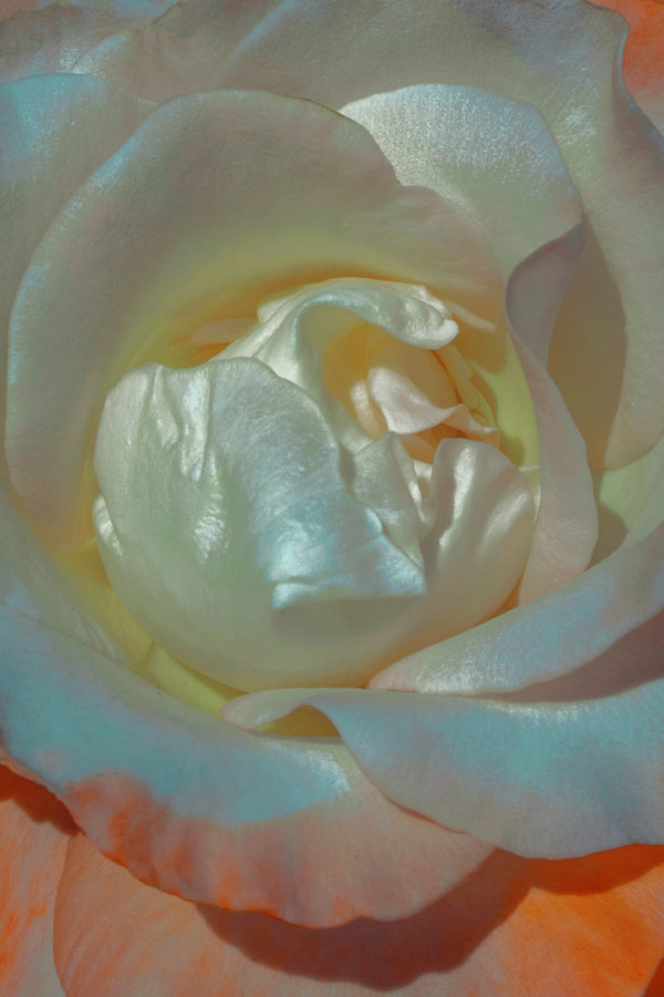 Photographer Spotlight: Xuebing Du – BOOOOOOOM! – CREATE * INSPIRE ...