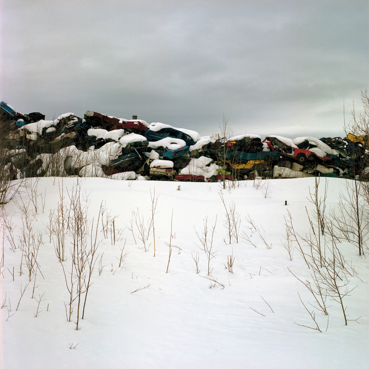 "Snow Desert" do Fotógrafo Mikhail Lebedev 25