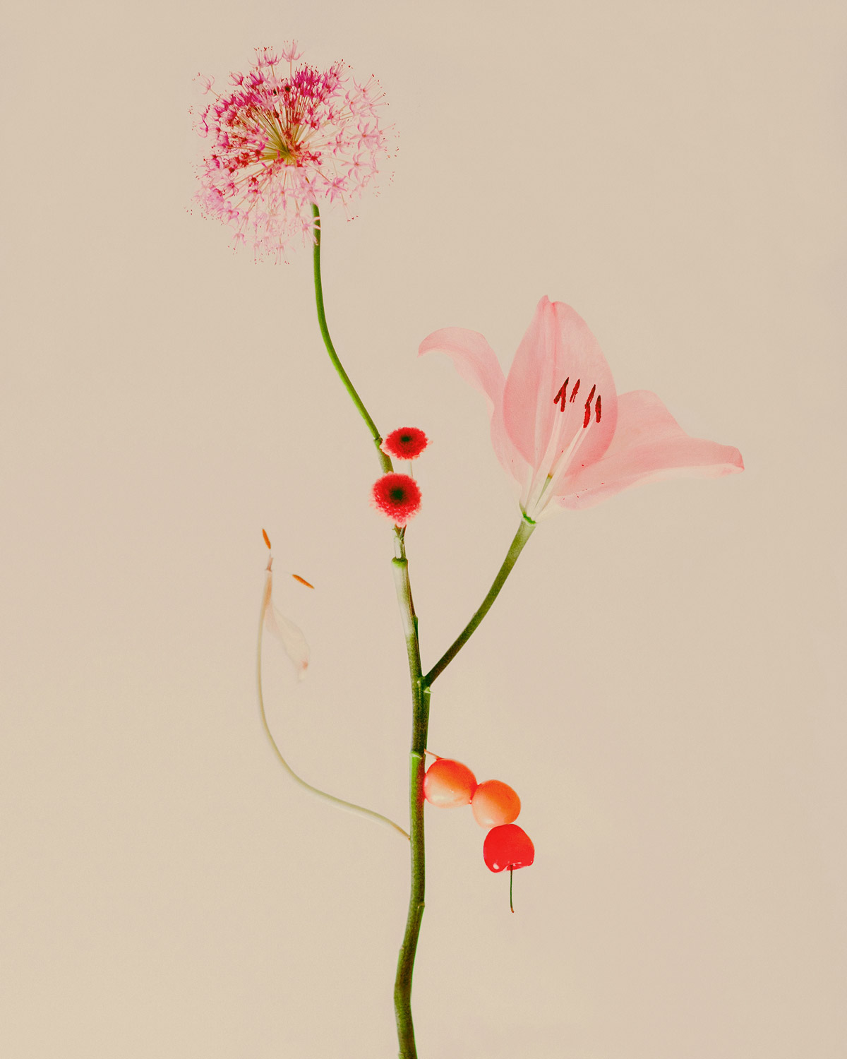 Jennifer Latour: Wild Flower no.22, Cypress Mountain, 2023 - Open