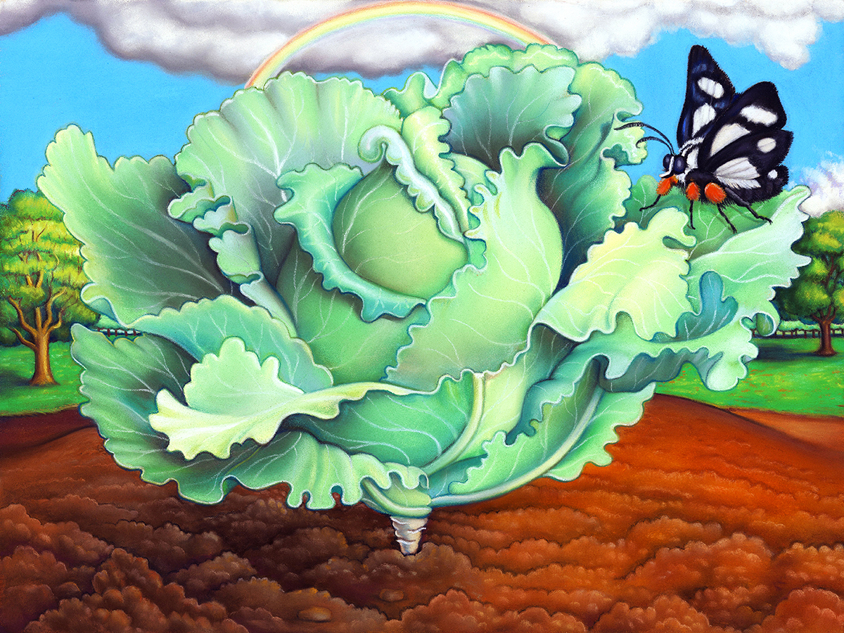 Jardim Impossível de Emma Steinkraus Cabbage with Eight spotted Forester Moth 2021 pastel on paper