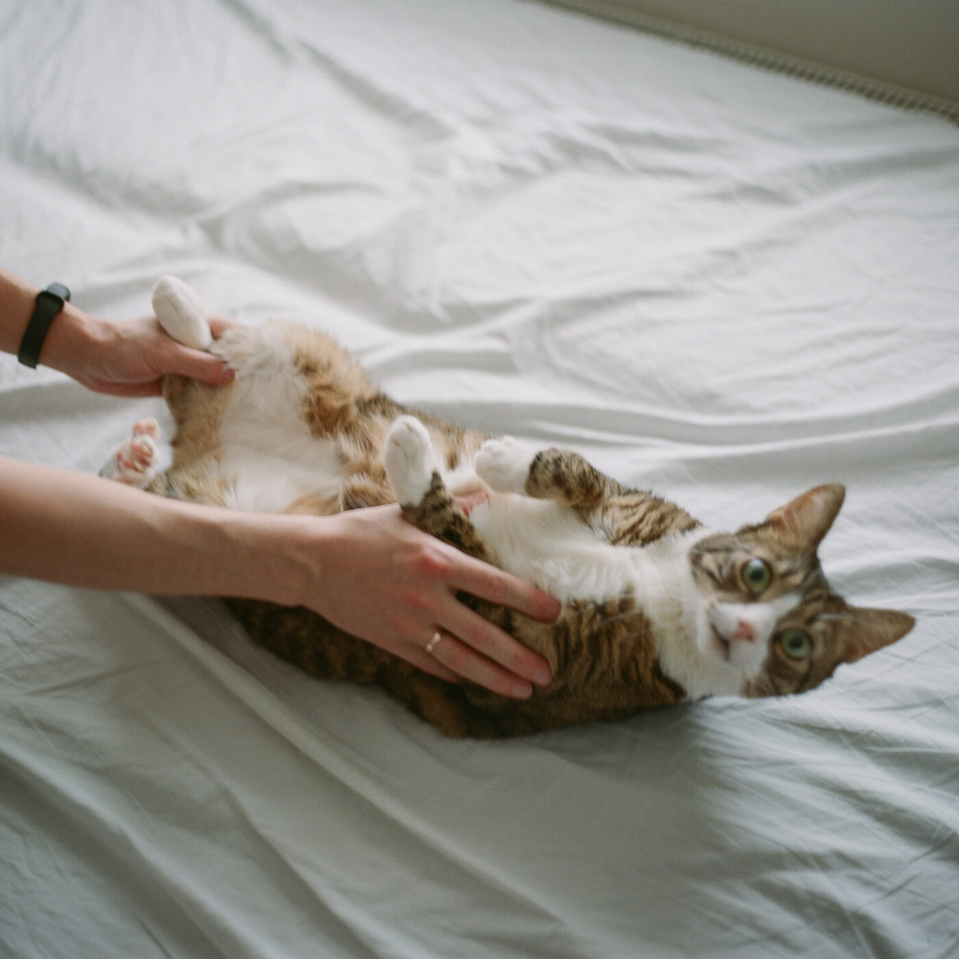 Human Softness – BOOOOOOOM! – CREATE * INSPIRE * COMMUNITY * ART ...