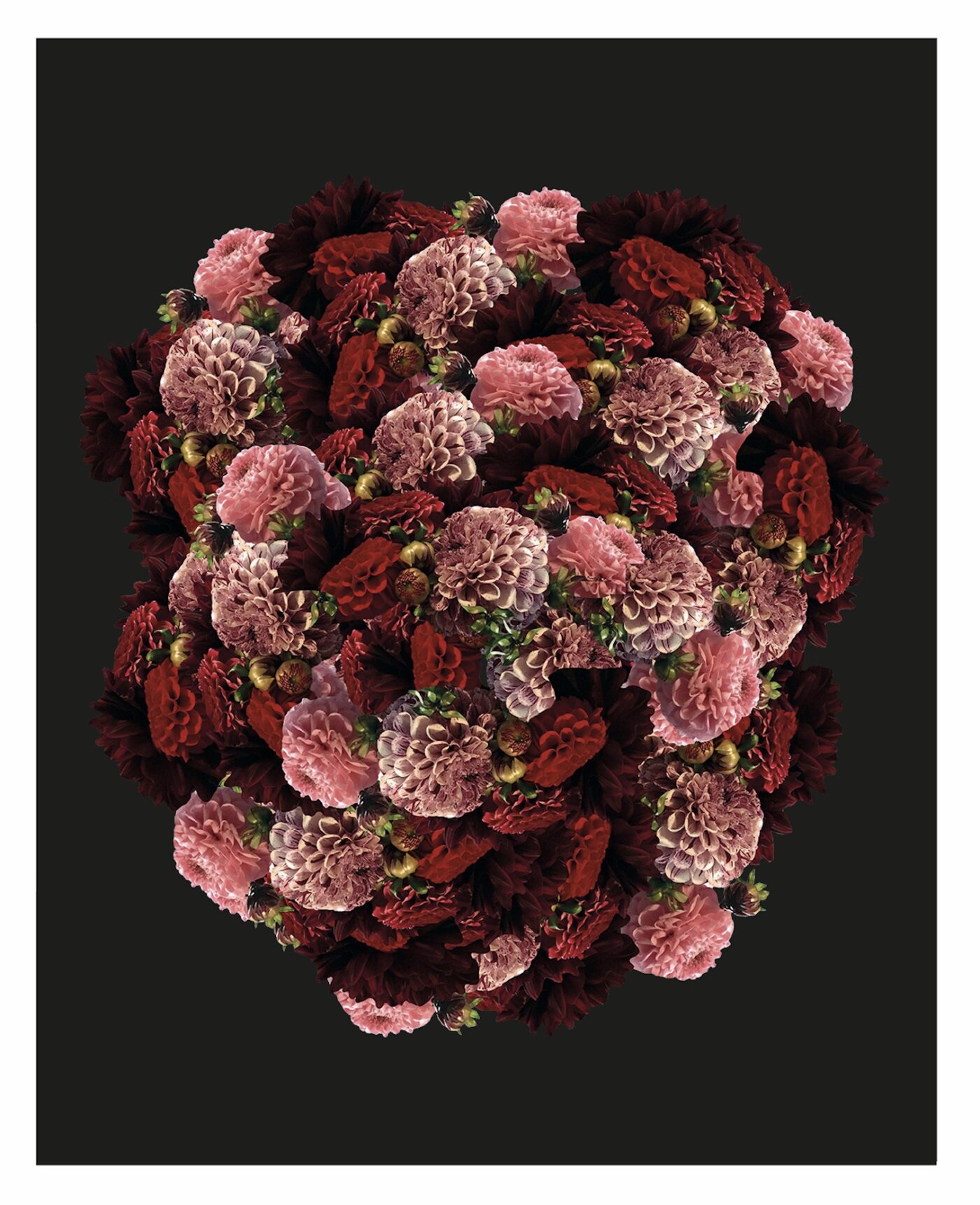 Floribunda – BOOOOOOOM! – CREATE * INSPIRE * COMMUNITY * ART * DESIGN ...