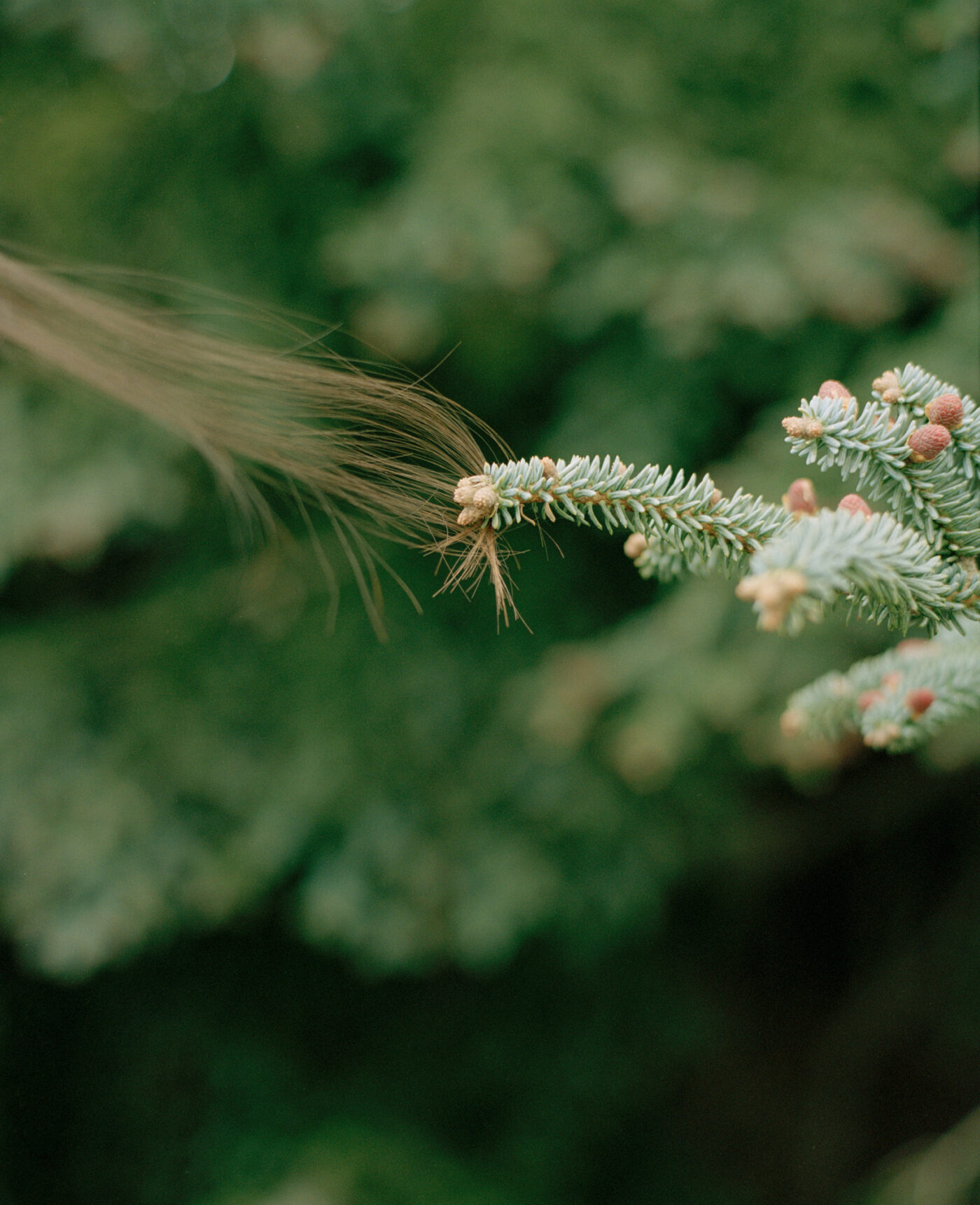 When I leave, give me flowers. – BOOOOOOOM! – CREATE * INSPIRE ...