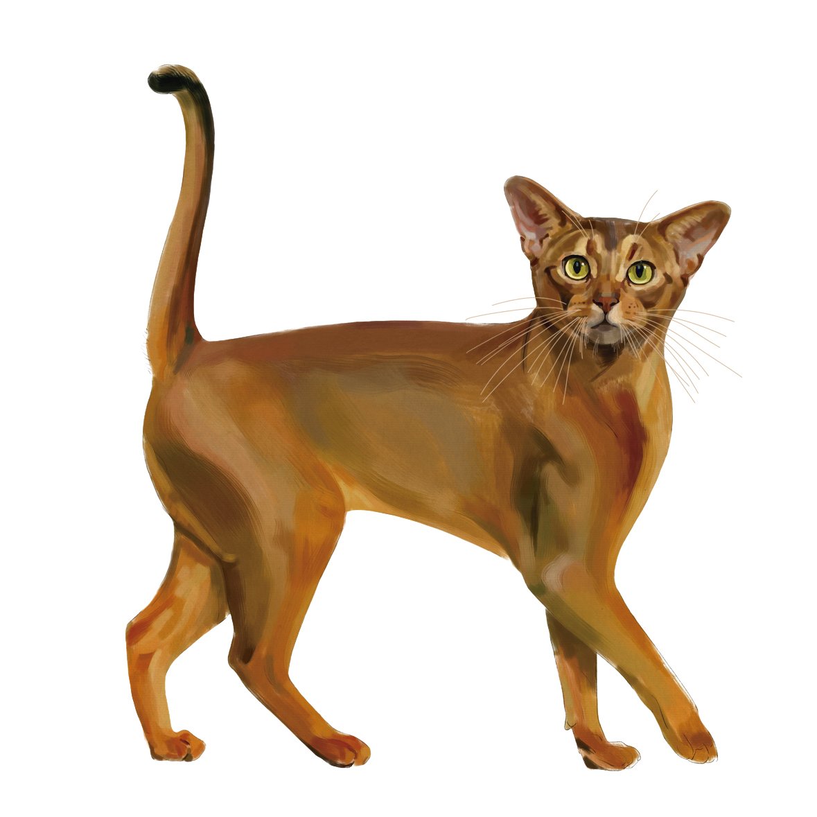 Iconic Cats Booooooom Create Inspire Community Art Design Iconic Cats Booooooom Create Inspire Community Art Design