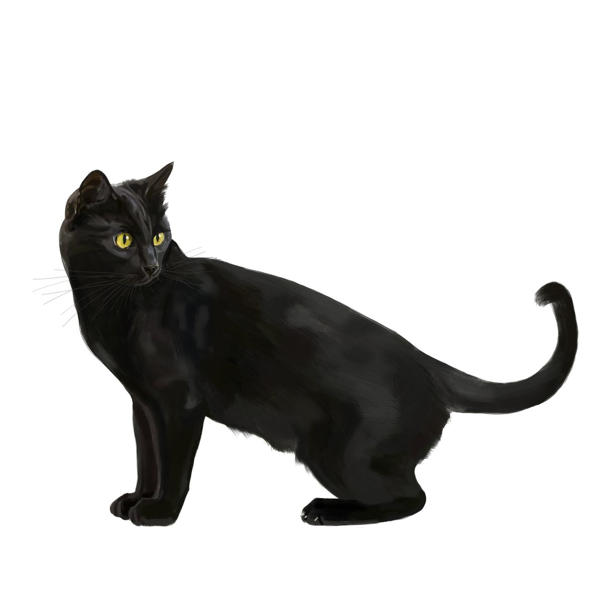Iconic Cats Booooooom Create Inspire Community Art Design Iconic Cats Booooooom Create Inspire Community Art Design