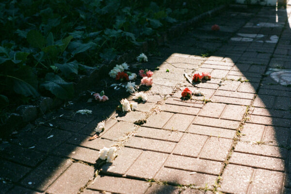  - Image 8 of 8