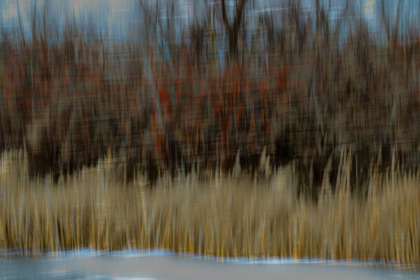  - Image 6 of 8
