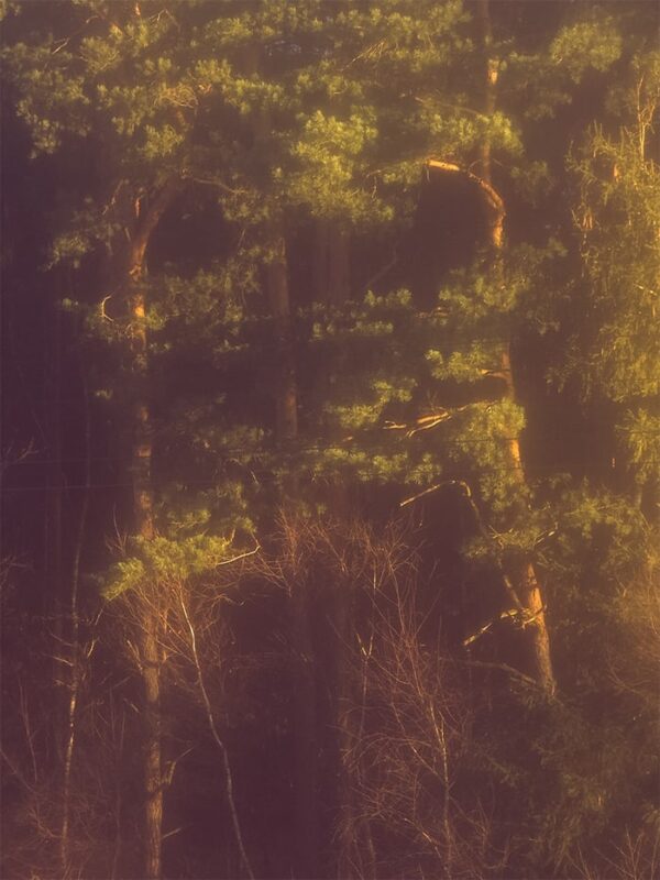  - Image 6 of 8