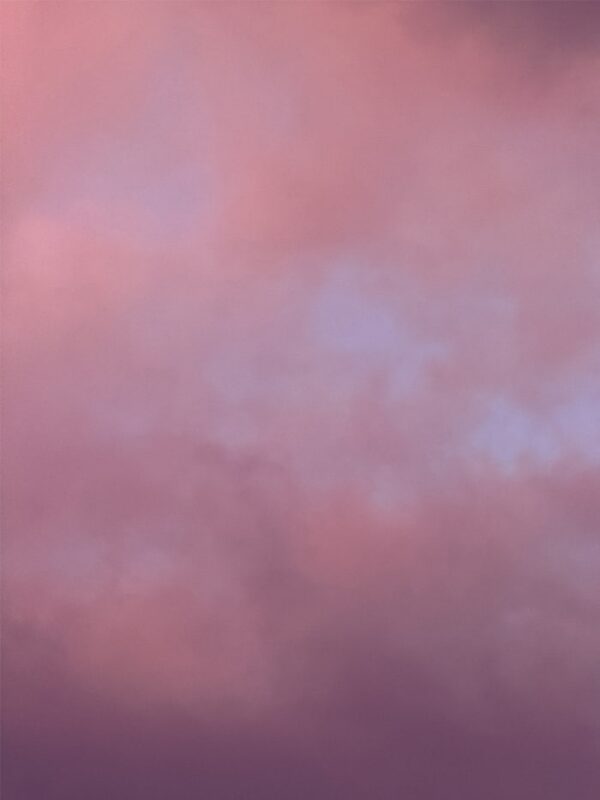  - Image 2 of 8