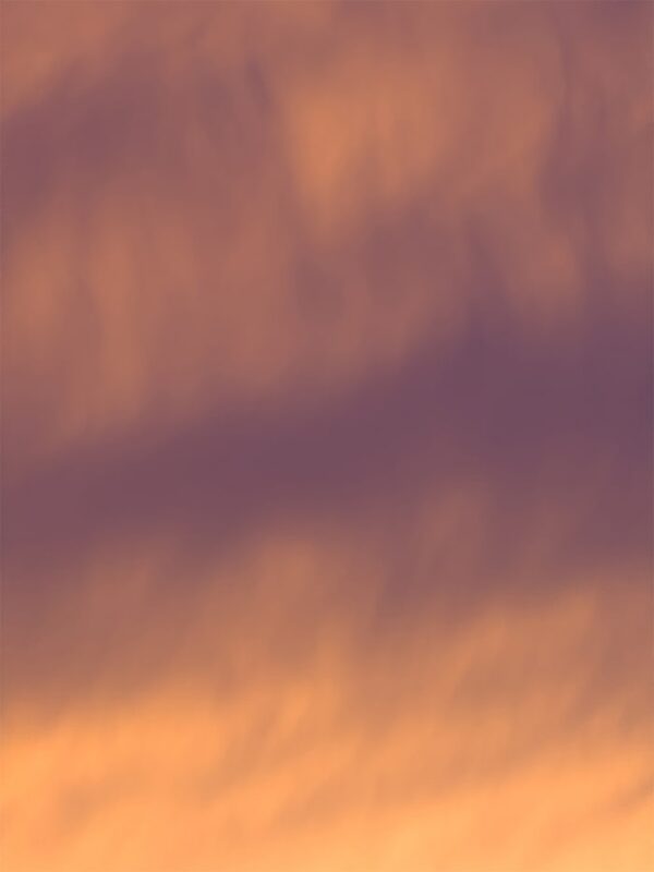  - Image 4 of 8