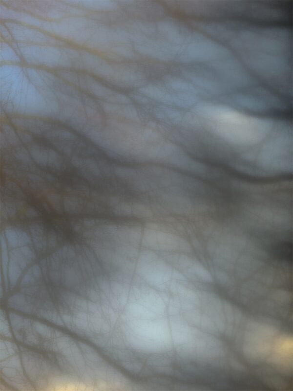  - Image 5 of 8