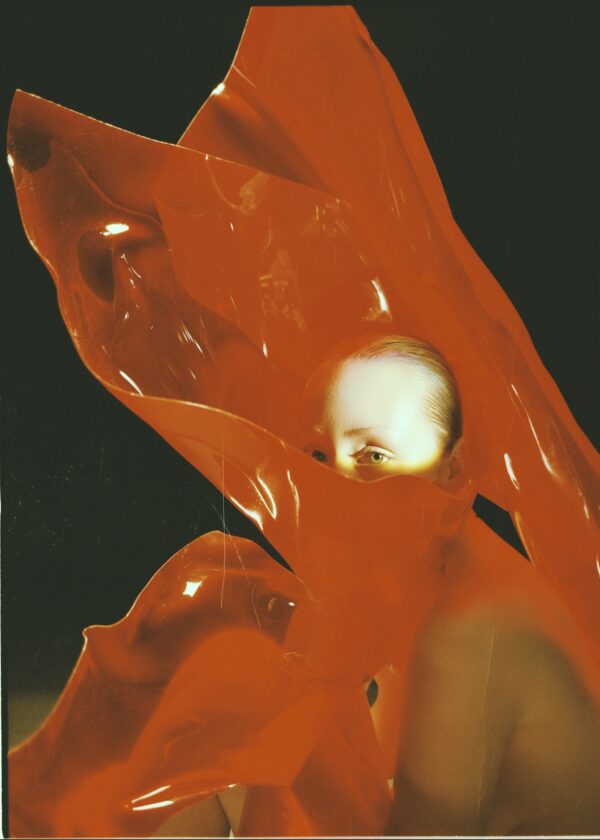  - Image 7 of 8