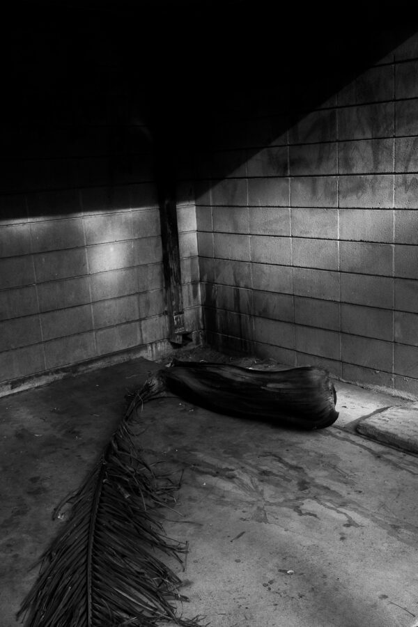  - Image 4 of 8