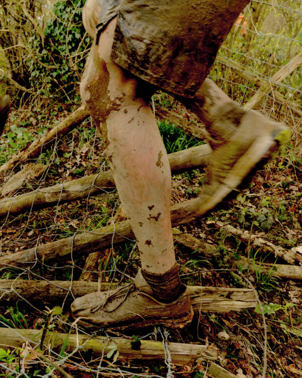  - Image 4 of 8