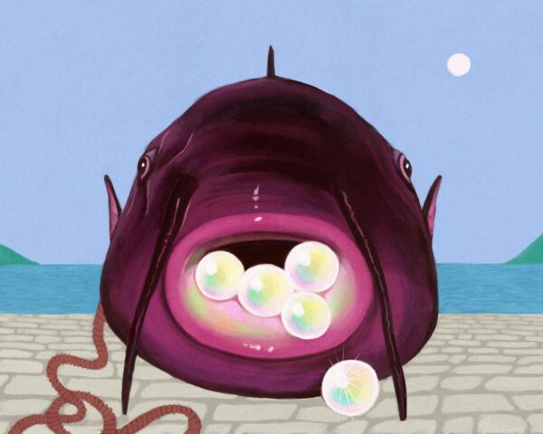  - Image 6 of 8