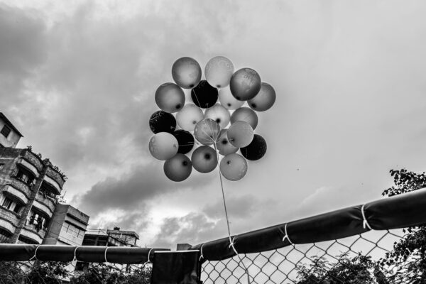  - Image 7 of 8