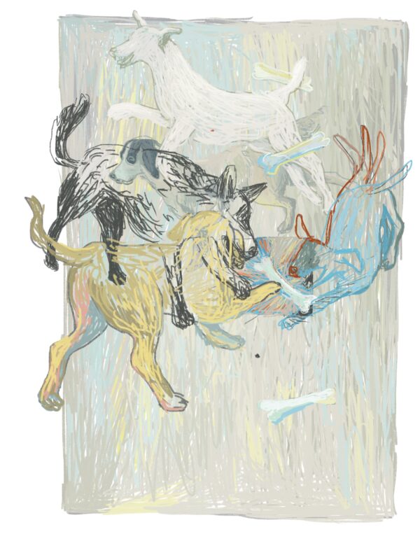  - Image 6 of 8
