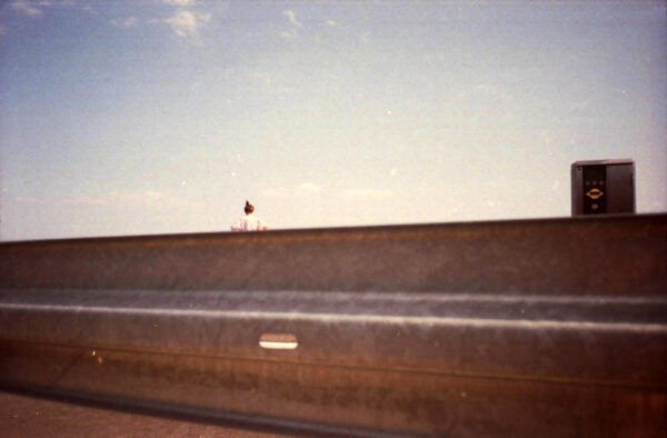  - Image 3 of 8