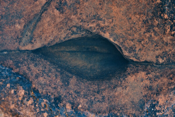  - Image 4 of 8