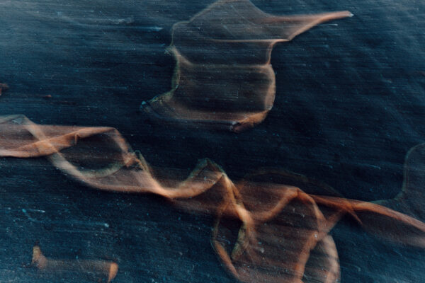 - Image 3 of 8