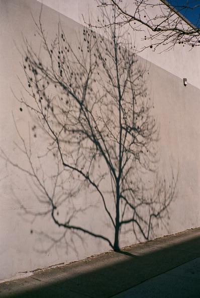  - Image 4 of 6