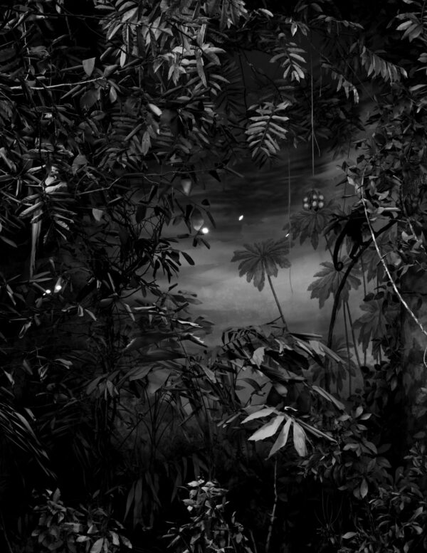  - Image 7 of 8