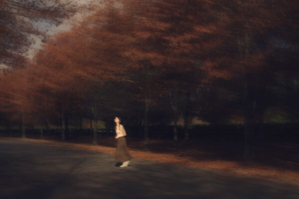  - Image 4 of 8