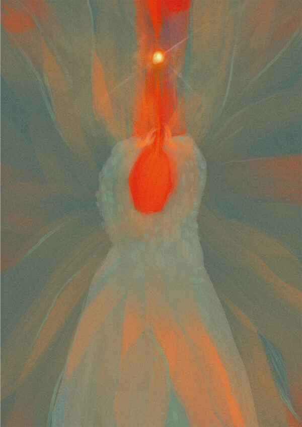  - Image 3 of 7