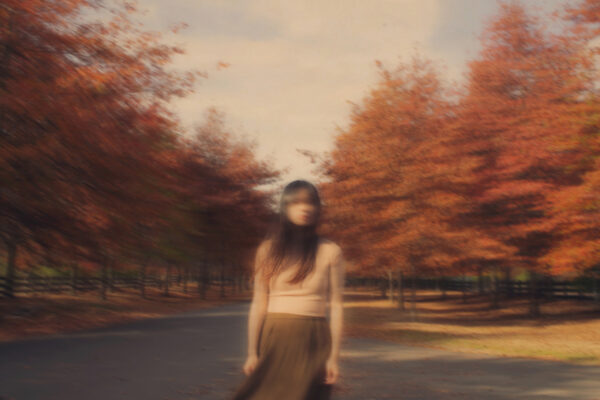  - Image 2 of 8