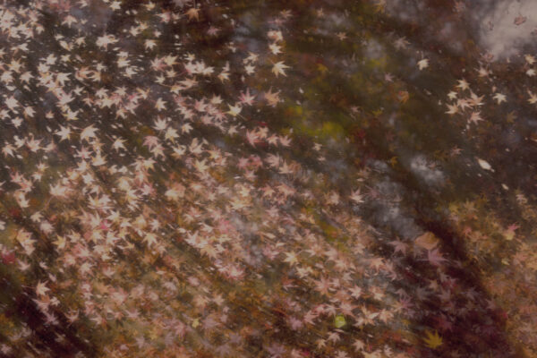  - Image 8 of 8