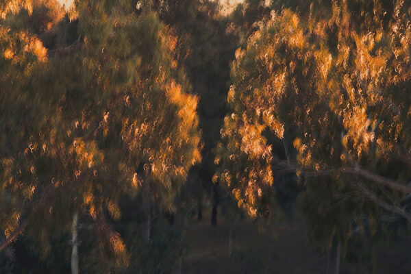  - Image 8 of 8
